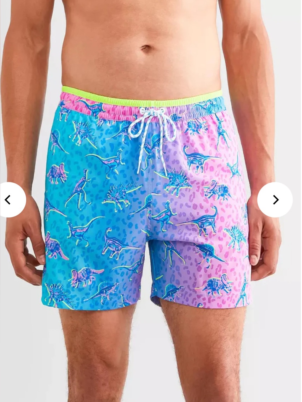 Chubbies Dino Print Swim Trunks - size M 5.5” inseam